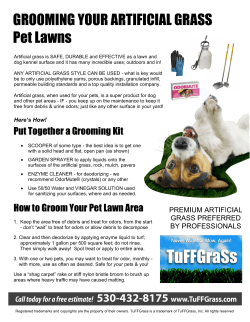 GROOMING YOUR ARTIFICIAL GRASS Pet Lawns