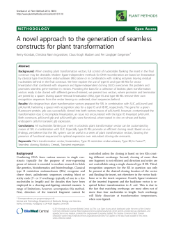 A novel approach to the generation of seamless constructs for plant