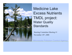 Medicine Lake Excess Nutrients TMDL: Water Quality Standards