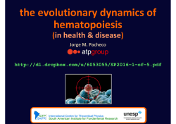 the evolutionary dynamics of hematopoiesis