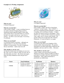 Example of a Writing Assignment: Score Non