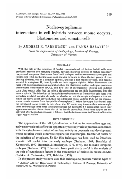 Nucleo-cytoplasmic interactions in cell hybrids