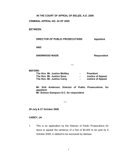 Criminal Appeal No. 24 of 2005 - Director of Public