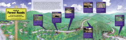 Forest Roads - Washington Forest Protection Association