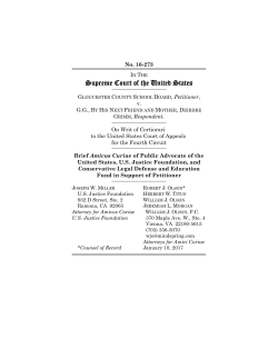 Brief amici curiae of Public Advocate of the United