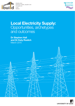 Local Electricity Supply: Opportunities, archetypes and outcomes