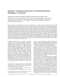 Systemic Acquired Tolerance to Virulent Bacterial Pathogens in