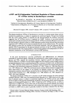 CAMP- and RAS-independent Nutritional Regulation