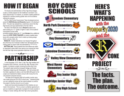 how it began roy cone partnership