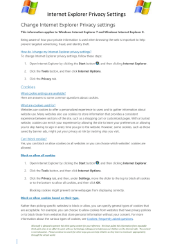 Internet Explorer Safety Settings