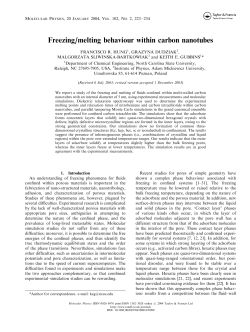 Freezing/melting behaviour within carbon nanotubes
