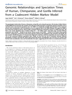 Genomic Relationships and Speciation Times of Human