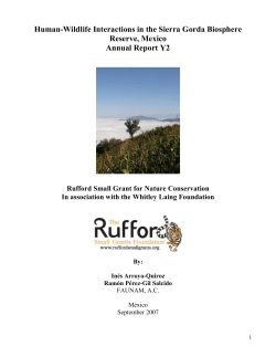 Detailed Final Report - Rufford Small Grants