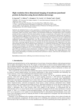 High resolution three-dimensional imaging of membrane junctional