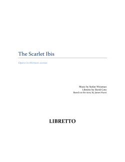 The Scarlet Ibis LIBRETTO