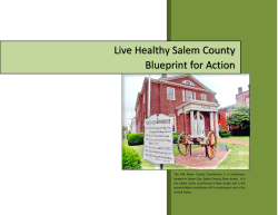 Live Healthy Salem County Blueprint for Action