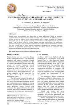 torsion of the spleen