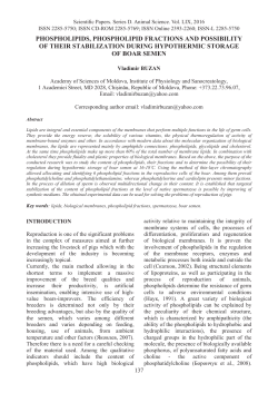 PHOSPHOLIPIDS, PHOSPHOLIPID FRACTIONS AND POSSIBILITY