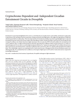 Pdf - Journal of Neuroscience
