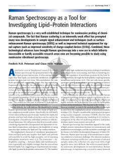 Raman Spectroscopy as a Tool for Investigating Lipid&ndash;Protein