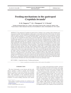Feeding mechanisms in the gastropod Crepidula fecunda