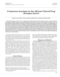 Cutaneous Acariasis in the African Clawed Frog