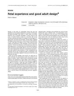 Fetal experience and good adult design