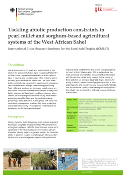 Tackling abiotic production constraints in pearl millet and