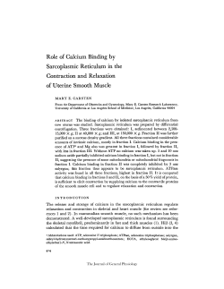 Role of Calcium Binding by Sarcoplasmic