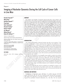 Imaging of Nucleolar Dynamics During the Cell Cycle