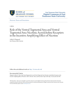 Role of the Ventral Tegmental Area and Ventral Tegmental Area