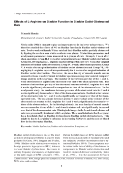 Effects of L-Arginine on Bladder Function in Bladder Outlet