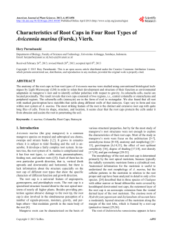 Characteristics of Root Caps in Four Root Types of Avicennia marina