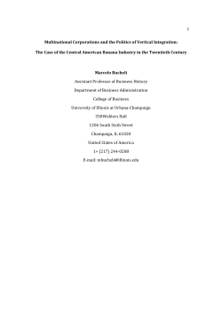 Multinational Corporations and the Politics of Vertical