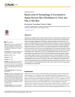 Basal Level of Autophagy Is Increased in Aging Human Skin