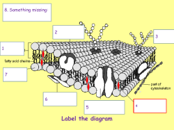 Passive transport and active transport