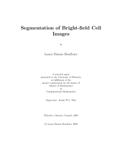 Segmentation of Bright-field Cell Images