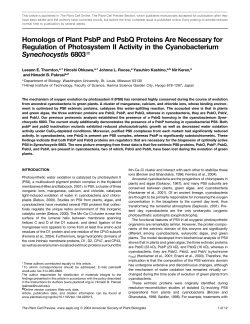 Homologs of Plant PsbP and PsbQ Proteins Are