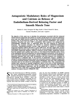 and Calcium on Release of Endothelium