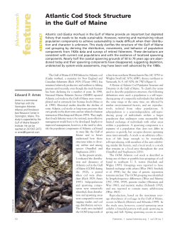 feature - Maine Center for Coastal Fisheries