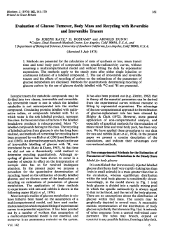 Evaluation of Glucose Turnover, Body Mass and Recycling with