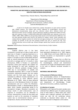 phenotypic and biochemical characterization of bradyrhizobium