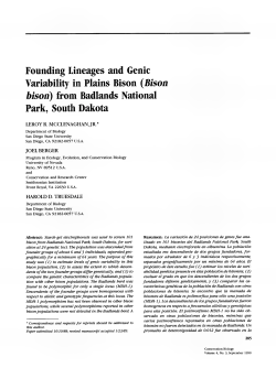 Founding Lineages and Genie Variability in Plains Bison (Bison