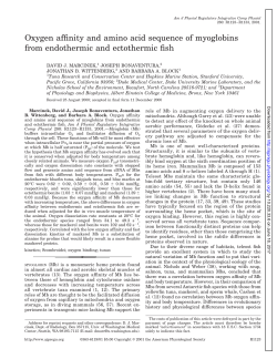 Oxygen affinity and amino acid sequence of myoglobins from