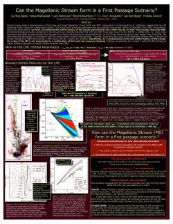 Can the Magellanic Stream form in a First Passage Scenario?