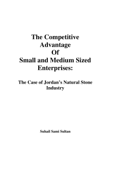 The Competitive Advantage Of Small and Medium Sized - unu