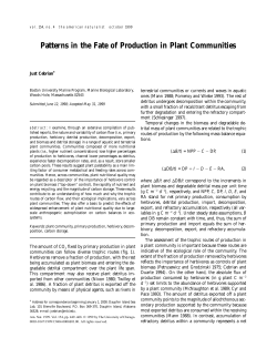 Patterns in the Fate of Production in Plant Communities