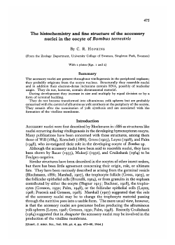 The histochemistry and fine structure of the accessory nuclei in the