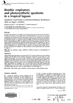 Benthic respiratory and photosynthetic quotients in a tropical lagoon