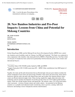20. New Bamboo Industries and Pro-Poor Impacts